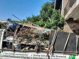 Best Retail Junk Removal  in Annandale, MN